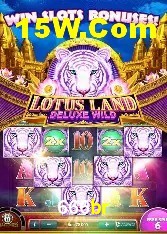 Casino Ao Vivo 666br